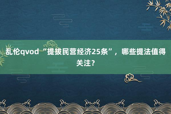 乱伦qvod “提拔民营经济25条”,哪些提法值得关注?