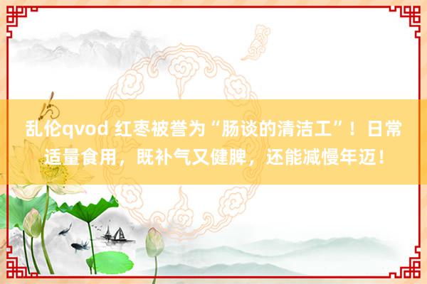 乱伦qvod 红枣被誉为“肠谈的清洁工”!日常适量食用,既补气又健脾,还能减慢年迈!