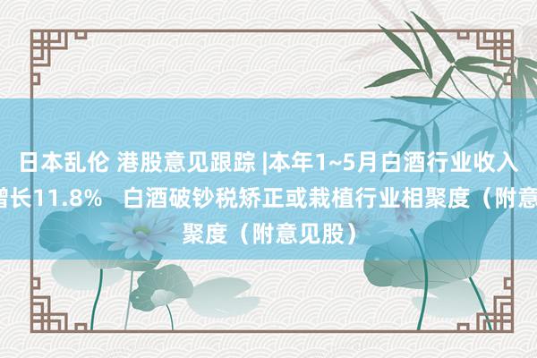 日本乱伦 港股意见跟踪 |本年1~5月白酒行业收入同比增长11.8%   白酒破钞税矫正或栽植行业相聚度（附意见股）