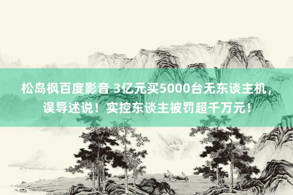 松岛枫百度影音 3亿元买5000台无东谈主机,误导述说!实控东谈主被罚超千万元!