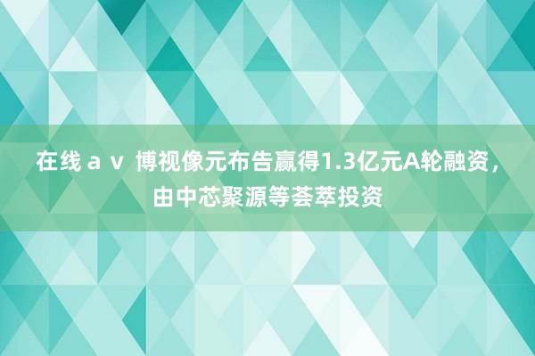 在线av 博视像元布告赢得1.3亿元A轮融资,由中芯聚源等荟萃投资
