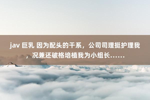 jav 巨乳 因为配头的干系,公司司理挺护理我,况兼还破格培植我为小组长……