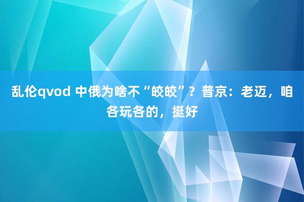 乱伦qvod 中俄为啥不“皎皎”?普京:老迈,咱各玩各的,挺好