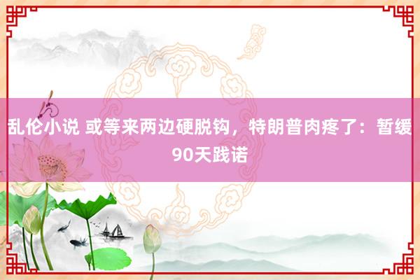 乱伦小说 或等来两边硬脱钩，特朗普肉疼了：暂缓90天践诺
