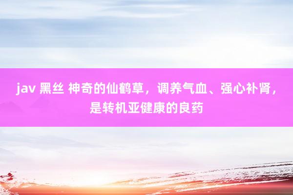 jav 黑丝 神奇的仙鹤草，调养气血、强心补肾，是转机亚健康的良药